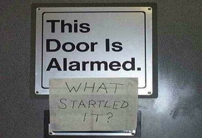 Mild Vandalism - This Door Is Alarmed. What Startled It?