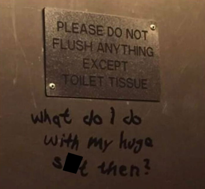 Mild Vandalism - commemorative plaque - Please Do Not Flush Anything Except Toilet Tissue what dol do with my huge S then?