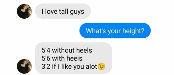 hol up - funny memes - I love tall guys What's your height? 5'4 without heels 5'6 with heels 32 if I you alot