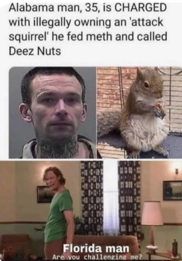 hol up - funny memes - florida man attack squirrel - Alabama man, 35, is Charged with illegally owning an 'attack squirrel' he fed meth and called Deez Nuts 61 1 Florida man Are you challenging me?