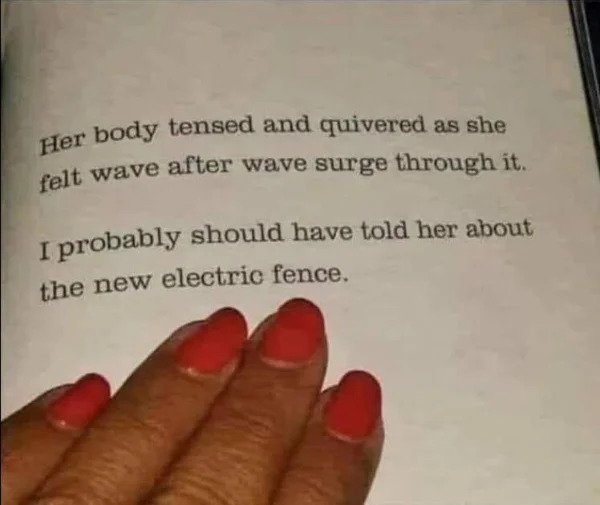 hol up - funny memes - probably should have told her about the electric fence - Her body tensed and quivered as she felt wave after wave surge through it. I probably should have told her about the new electric fence.