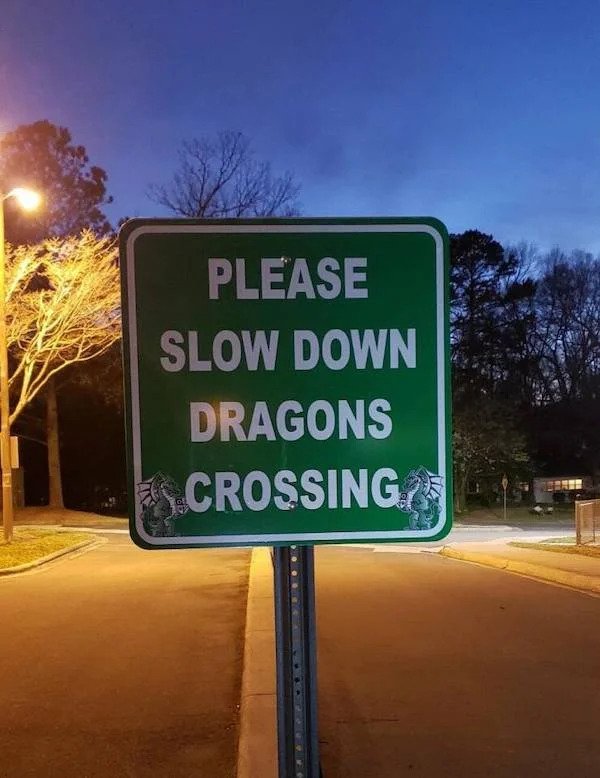 Funny Signs - Please Slow Down Dragons Crossing