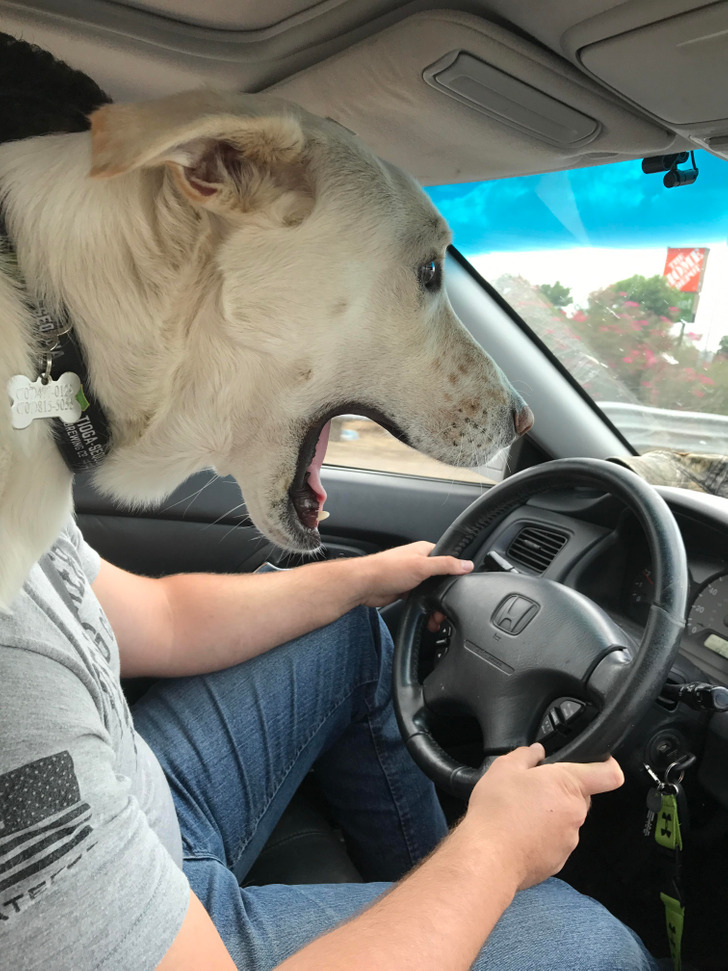 “Got these well-timed shots from our road trip.”