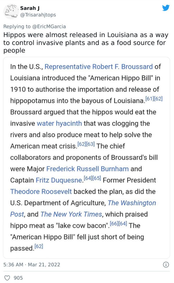 Crazy Facts - Hippos were almost released in Louisiana as a way to control invasive plants and as a food source for people In the U.S., Representative Robert F. Broussard of Louisiana introduced the