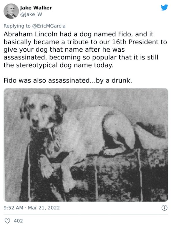 Crazy Facts - Abraham Lincoln had a dog named Fido, and it basically became a tribute to our 16th President to give your dog that name after he was assassinated, becoming so popular that it is still the stereotypical dog name today.