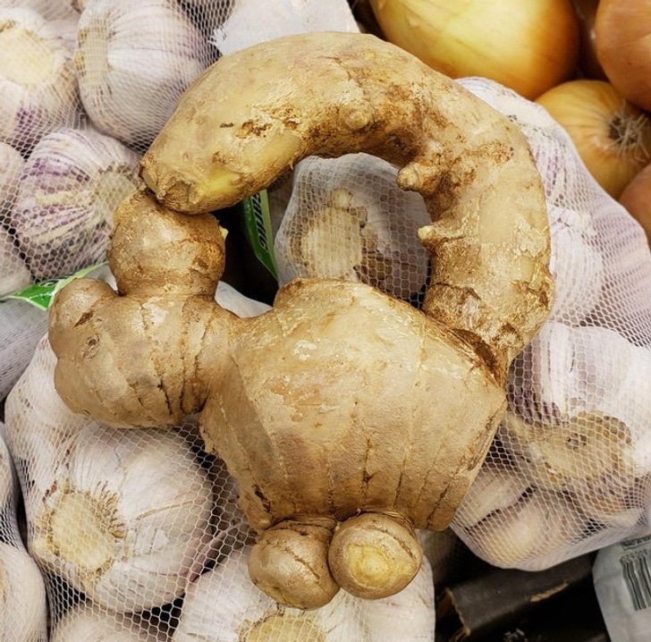 Which animal or creature does this ginger resemble?