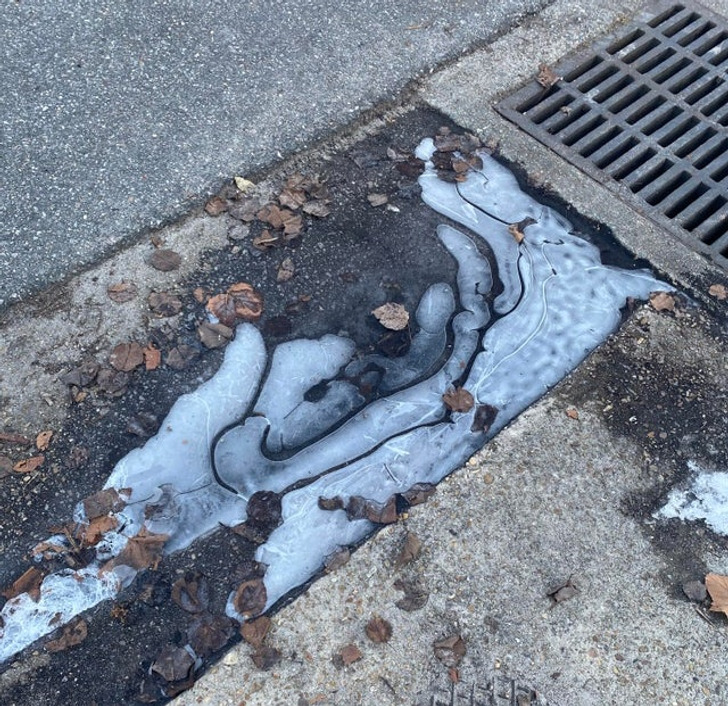 “This puddle froze with a weird pattern.”