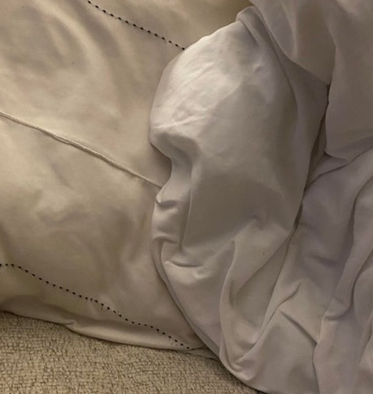 “My girlfriend got up from the couch, and the comforter resembles a gorilla head.”