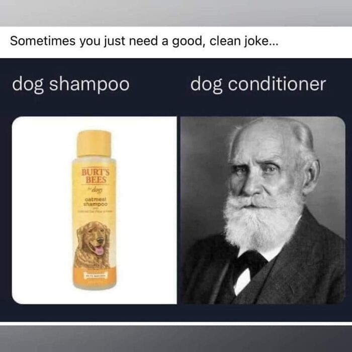 science memes ivan pavlov - Sometimes you just need a good, clean joke... dog shampoo dog conditioner Burts Bees dog oatmeal hampoo