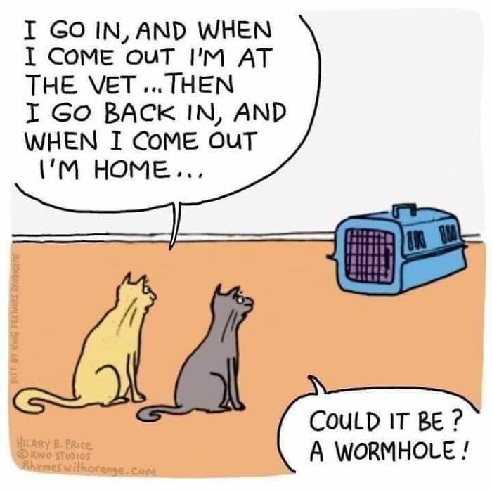 science memes funny cat cartoon memes - I Go In, And When I Come Out I'M At The Vet...Then I Go Back In, And When I Come Out I'M Home... Dust By Rug Features Studiote Hilary B. Price Rwo Studios Rhymes withorange.com Could It Be ? A Wormhole!