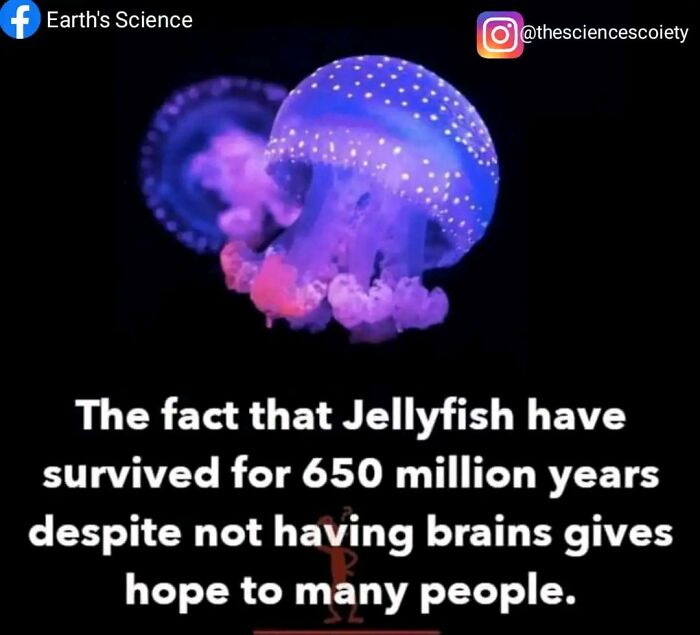 science memes jellyfish - f Earth's Science o The fact that Jellyfish have survived for 650 million years despite not having brains gives hope to many people.