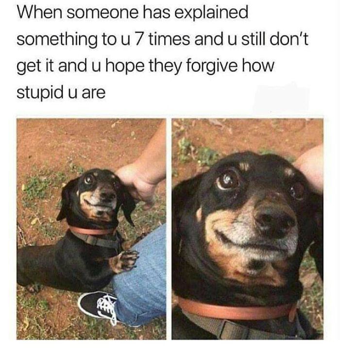 science memes someone has explained something to you 7 times - When someone has explained something to u 7 times and u still don't get it and u hope they forgive how stupid u are