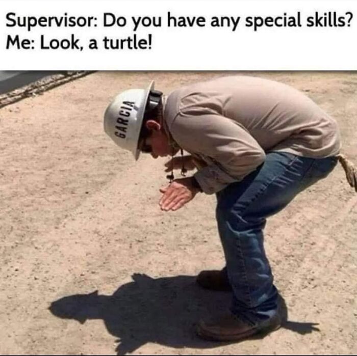 science memes do you have any special skills look - Supervisor Do you have any special skills? Me Look, a turtle! Garcia