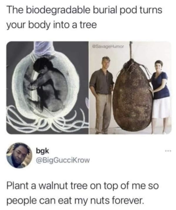 people who shared too much - tree burial pod - The biodegradable burial pod turns your body into a tree SavageHumor bgk Plant a walnut tree on top of me so people can eat my nuts forever.