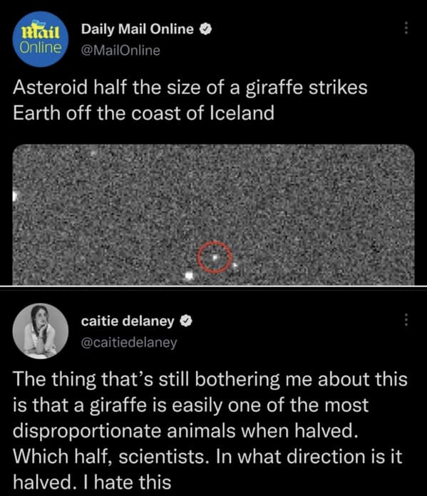 people who shared too much - giraffe sized asteroid - mail Daily Mail Online Online Asteroid half the size of a giraffe strikes Earth off the coast of Iceland caitie delaney The thing that's still bothering me about this is that a giraffe is easily one of