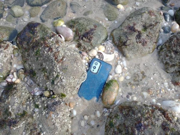 “Found while walking along the beach at low tide.”