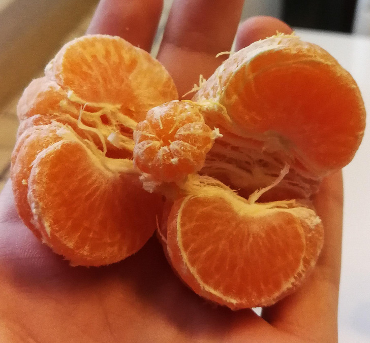 cool pics - amazing photos -tangerine inside a tangerine