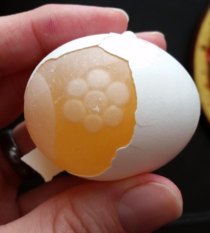 cool pics - amazing photos -membrane intact of egg