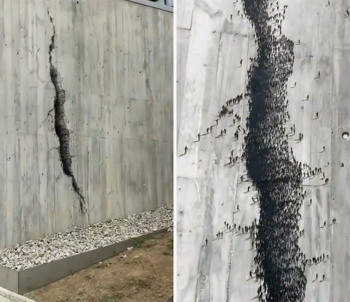 real life easter eggs - wall