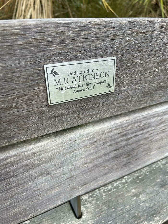 real life easter eggs - wood - Dedicated to M.R Atkinson "Not dead, just plaques"