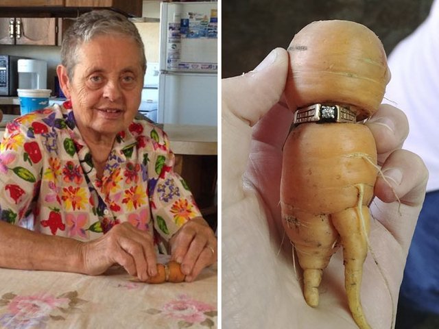 funny oh shit pics - Woman Loses Engagement Ring In Garden Finds It 13 Years Later On A Carrot