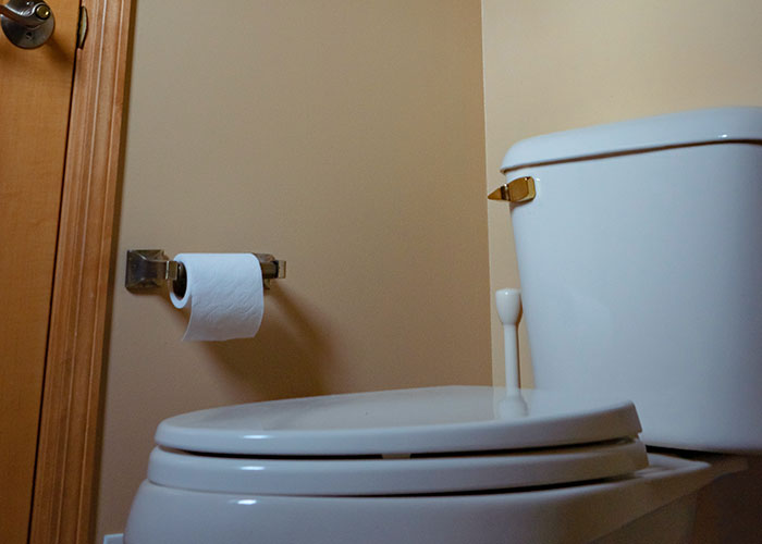 street smarts - tips for travelers - Toilet