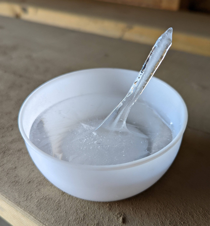 “Our yard cat’s water froze like this.”