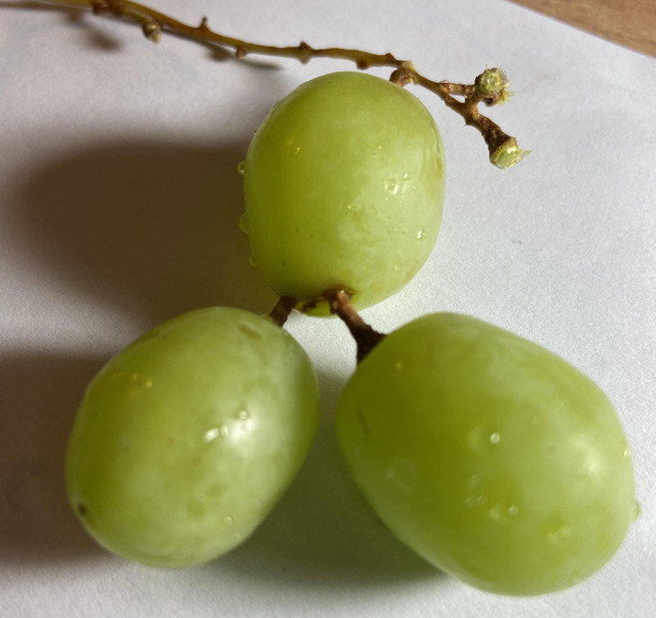 “This grape has 2 grapes growing out of it.”