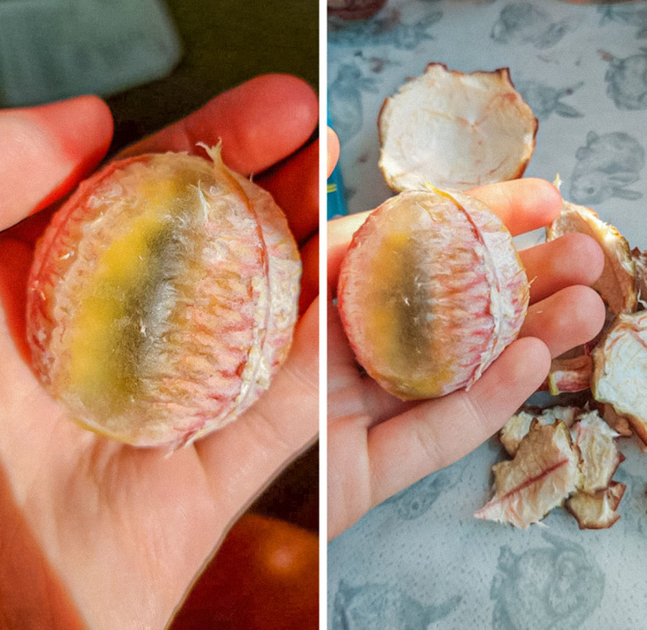 This is what a peeled passion fruit looks like.