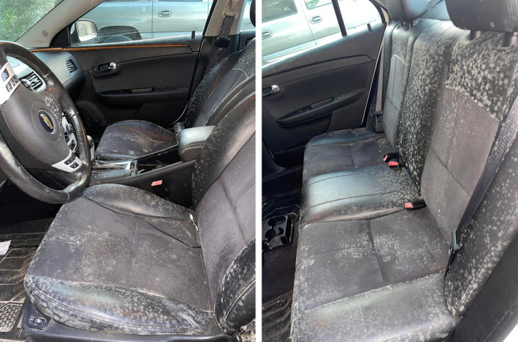 “I left my car sitting at work for a little over a month. I went to go pick it up today and the interior is covered in mold.”