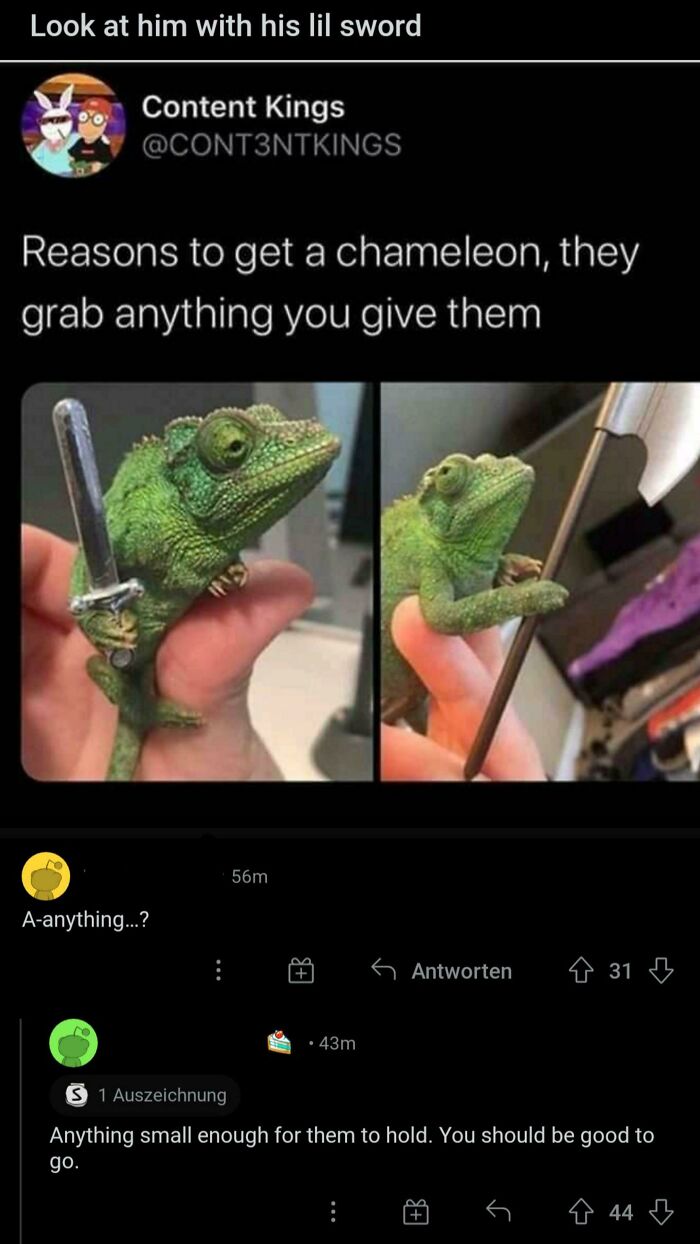 Ridiculous Comments - brain worms meme - Look at him with his lil sword Content Kings Reasons to get a chameleon, they grab anything you give them