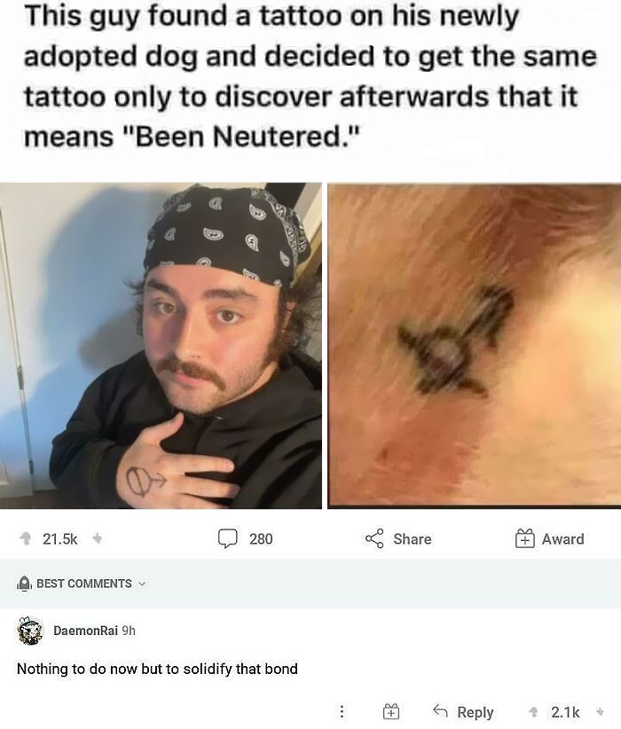 Ridiculous Comments - cool tattoos - This guy found a tattoo on his newly adopted dog and decided to get the same tattoo only to discover afterwards that it means