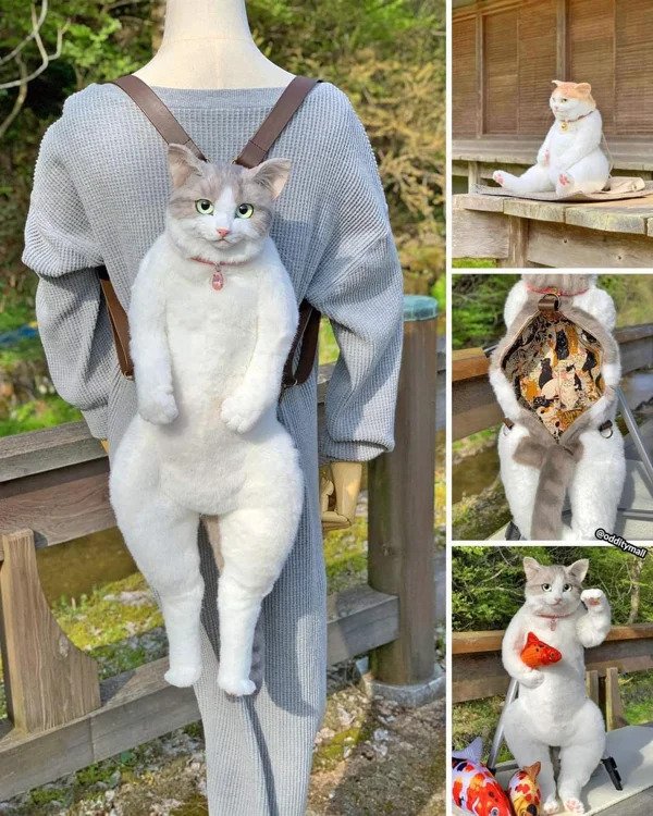 Things You Don't Want - cat backpack