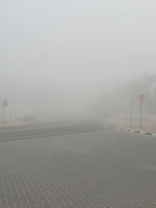 “This is the road I’m supposed to drive on my final driving test this morning. Fog my life!”