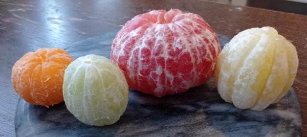 “Peeled citrus fruits.”