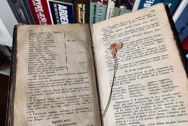 “There’s a dried flower in this 165 years old latin book I just found in our attic.”