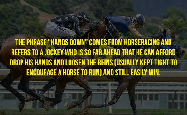 Random Facts - male race horse - Serra The Phrase