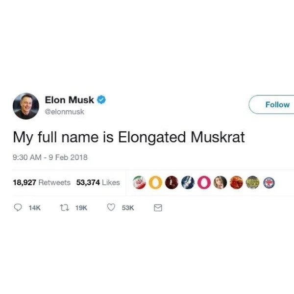 wtf social media posts by companies and celebs - elon musk full name meme - Elon Musk My full name is Elongated Muskrat 18,927 53,374 0006 Tec 14K 53K