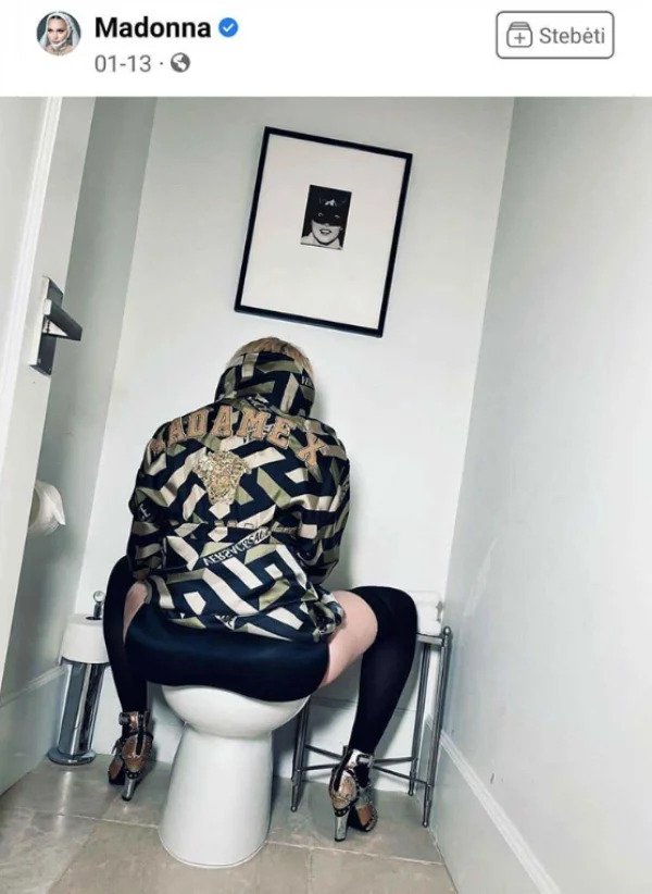 wtf social media posts by companies and celebs - madonna toilet