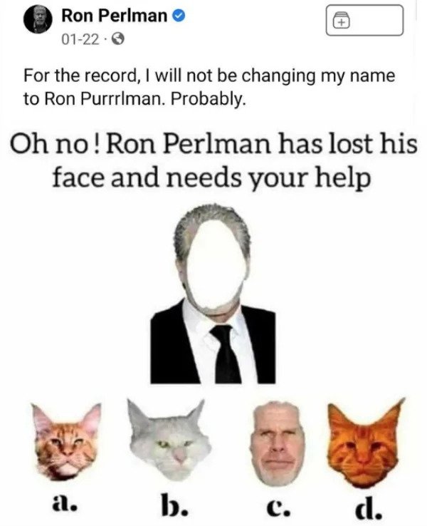 wtf social media posts by companies and celebs - ron perlman cat - Ron Perlman 0122 For the record, I will not be changing my name to Ron Purrrlman. Probably. Oh no! Ron Perlman has lost his face and needs your help a. b. c . d.