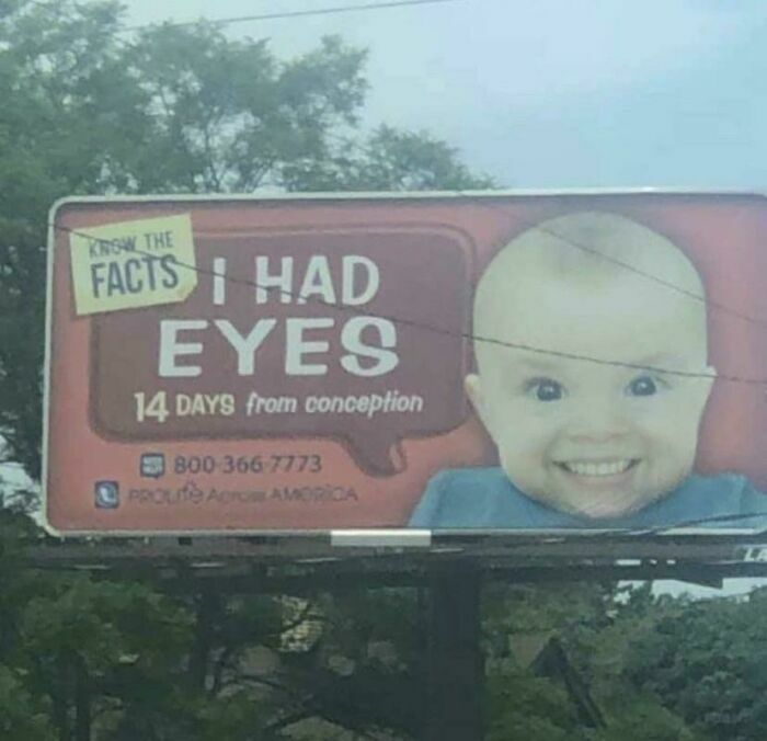 dumb ideas - r crappydesign - Krs The Facts I Had Eyes 14 Days from conception S 800 366 7773 pogute Are Amorca