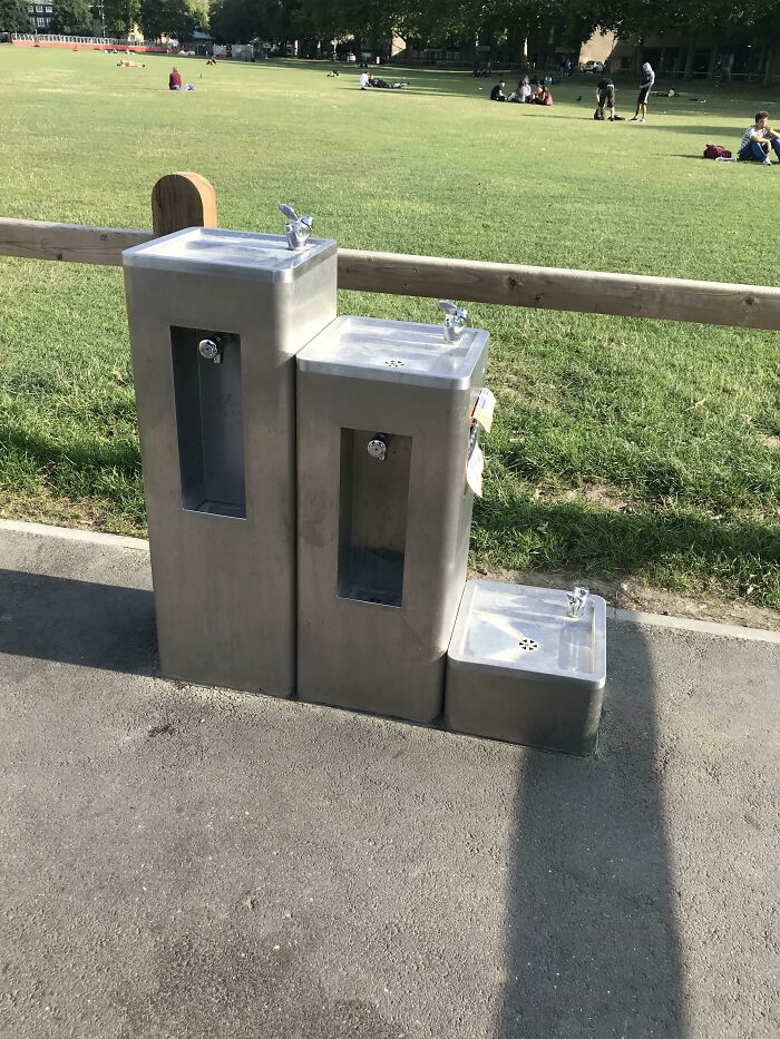 This Park Has A Tiny Water Fountain For Dogs