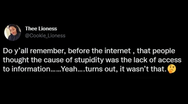 No Common Sense - Thee Lioness Do y'all remember, before the internet , that people thought the cause of stupidity was the lack of access to information......Yeah....turns out, it wasn't that.