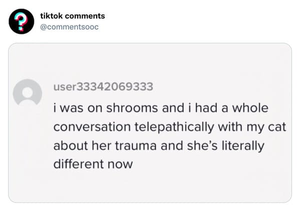 funny tiktok comments - diagram - tiktok user33342069333 i was on shrooms and i had a whole conversation telepathically with my cat about her trauma and she's literally different now