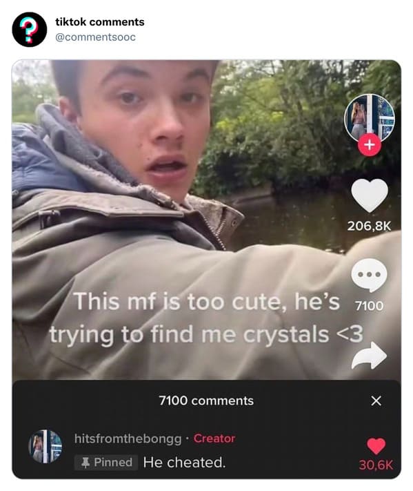 funny tiktok comments - photo caption - ? tiktok This mf is too cute, he's 7100 trying to find me crystals