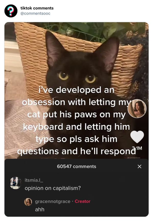 funny tiktok comments - photo caption - ? tiktok i've developed an obsession with letting my cat put his paws on my keyboard and letting him type so pls ask him questions and he'll respon 31M Som 60547 itsmia.l. opinion on capitalism? gracennotgrace Creat