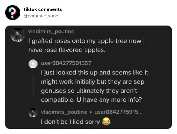 funny tiktok comments - multimedia - ? tiktok vladimirs_poutine I grafted roses onto my apple tree now! have rose flavored apples. user884277591557 I just looked this up and seems it might work initially but they are sep genuses so ultimately they aren't 
