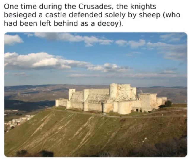 WTF History - krak des chevaliers - One time during the Crusades, the knights besieged a castle defended solely by sheep who had been left behind as a decoy.