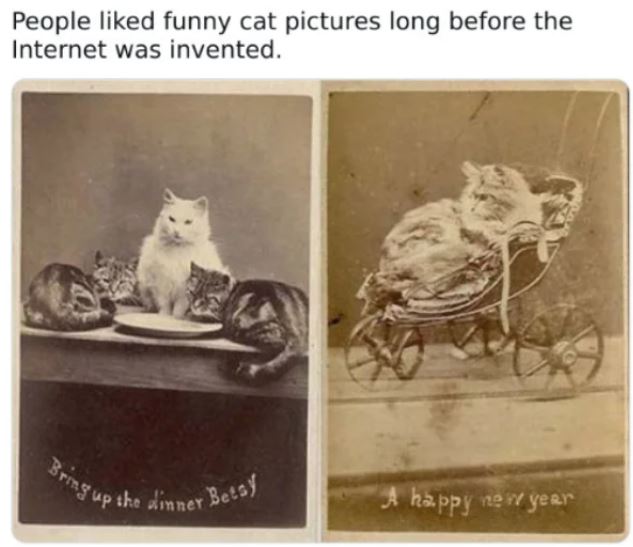 27 Bizarre and Wild Facts and Photos From History