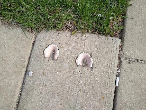 On my walk I found a pair of dentures set into the concrete in front of a house